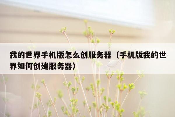 我的世界手机版怎么创服务器（手机版我的世界如何创建服务器）