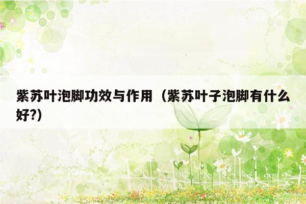 紫苏叶泡脚功效与作用（紫苏叶子泡脚有什么好?）